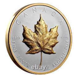 Pièce de monnaie en feuille d'érable en argent CANADA 20 dollars FABULEUSE RELIEF ULTRA ÉLEVÉ