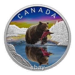 Réflexions sur la faune sauvage du Canada en 2024 - Pièce en argent pur de 1 once avec un grizzly (preuve)