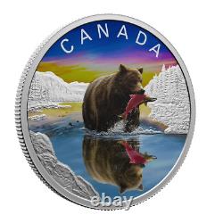 Réflexions sur la faune sauvage du Canada en 2024 - Pièce en argent pur de 1 once avec un grizzly (preuve)