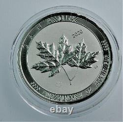 Scarce 2020 2 Oz. 9999 Pièce De Monnaie Canadian Twin Maple Leaf Bu En Capsule